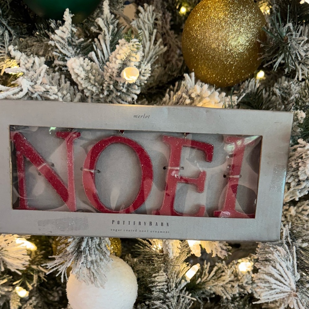 Pottery Barn “NOEL” Sugar Coated Christmas Letter Ornaments – NIB